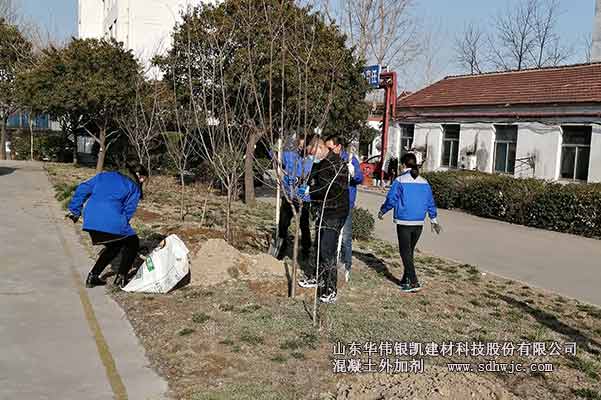 植樹節活動